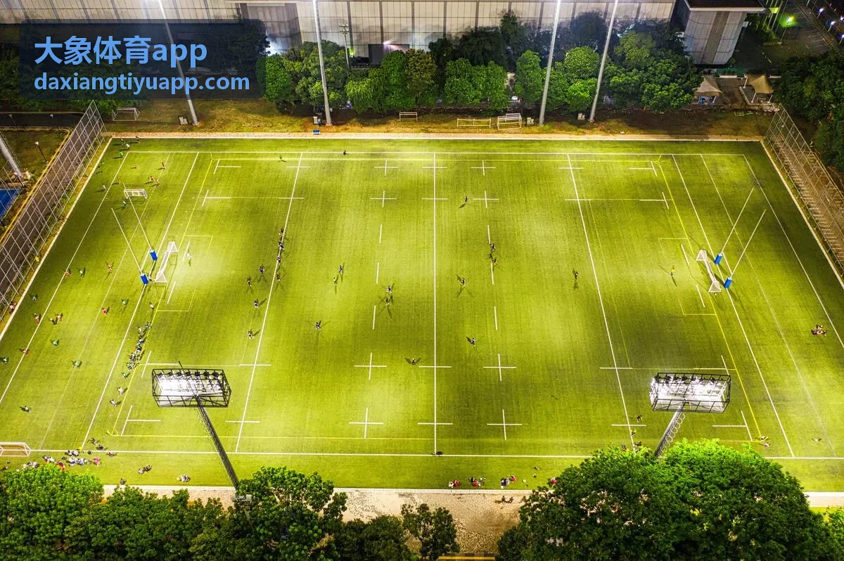 大象体育app 训练计划功能